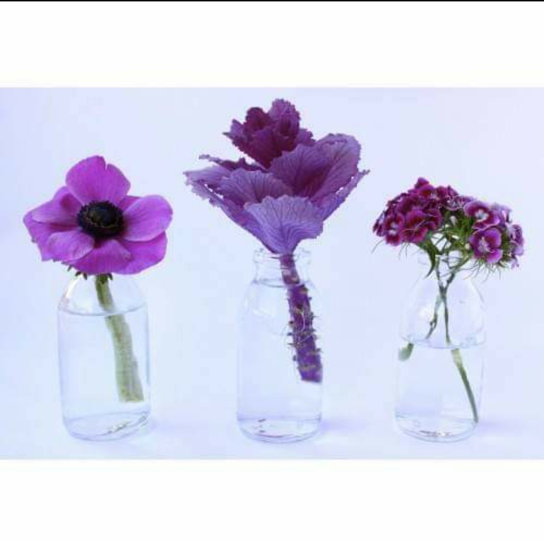 Combo 5, 9,10 lọ thủy tinh TRANG TRÍ 50ML 100ML 300ML 500ML  nút gỗ