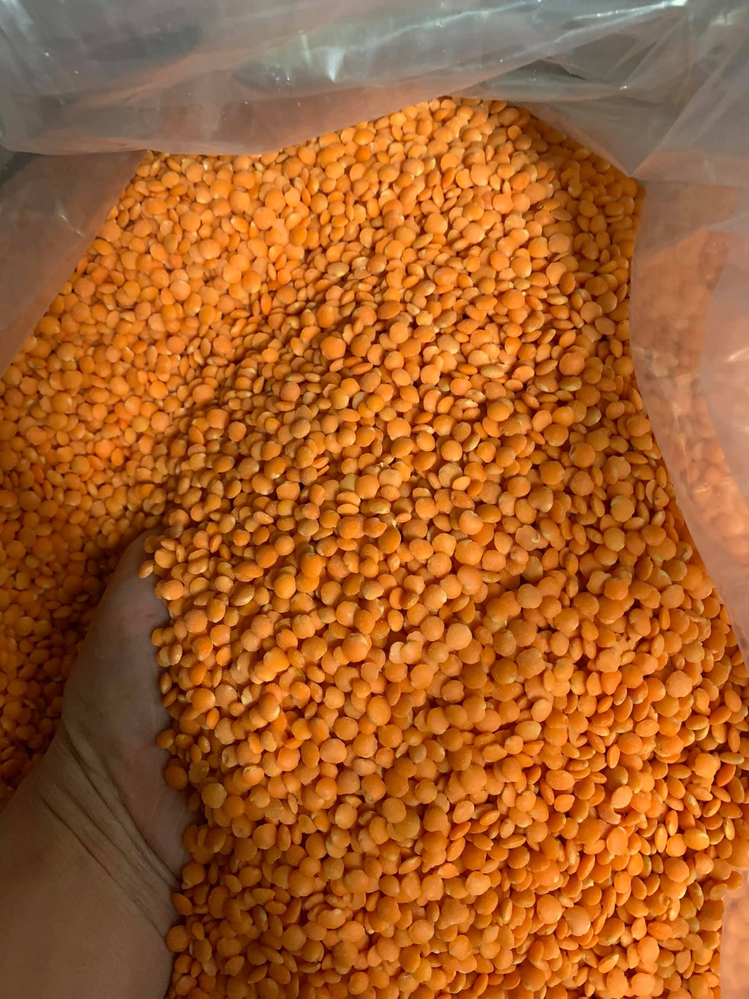 Đậu lăng đỏ sấy khô 500gr
