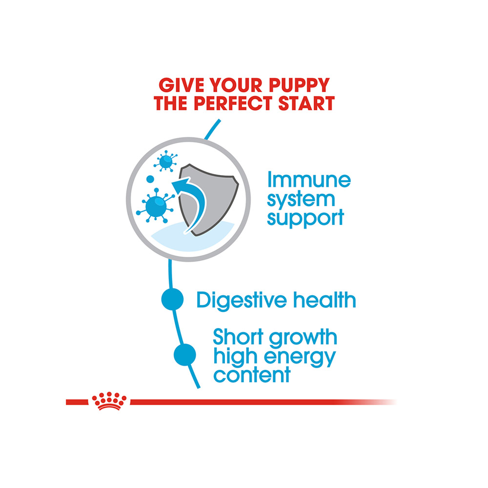 Hạt Royal Canin Medium Puppy Cho Chó Con Size Vừa