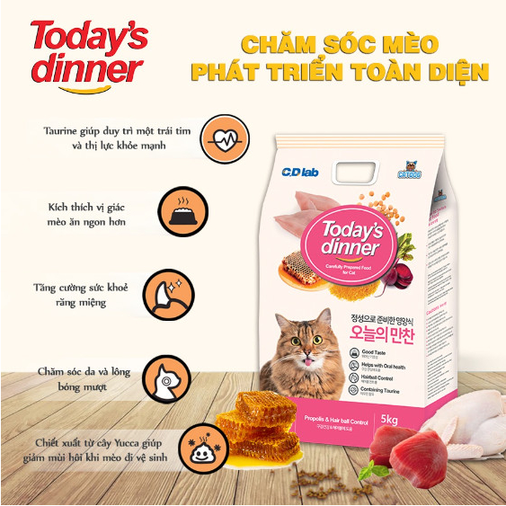 1 kg CÓSỈ Today s Dinner - Hạt thức ăn cân bằng dinh dưỡng cho mèo mọi lứa
