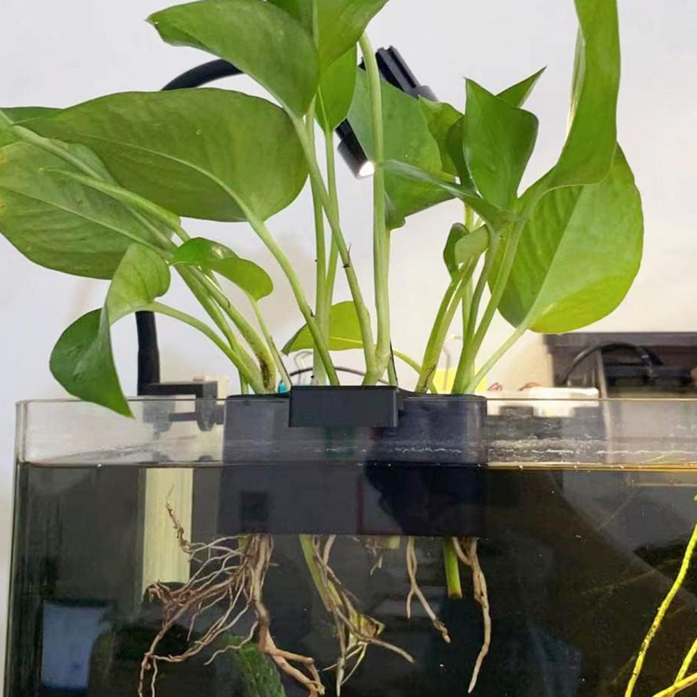 Aquarium Holder Aquaponic Cultivation Rack Hydroponic Storage Aquascape ...