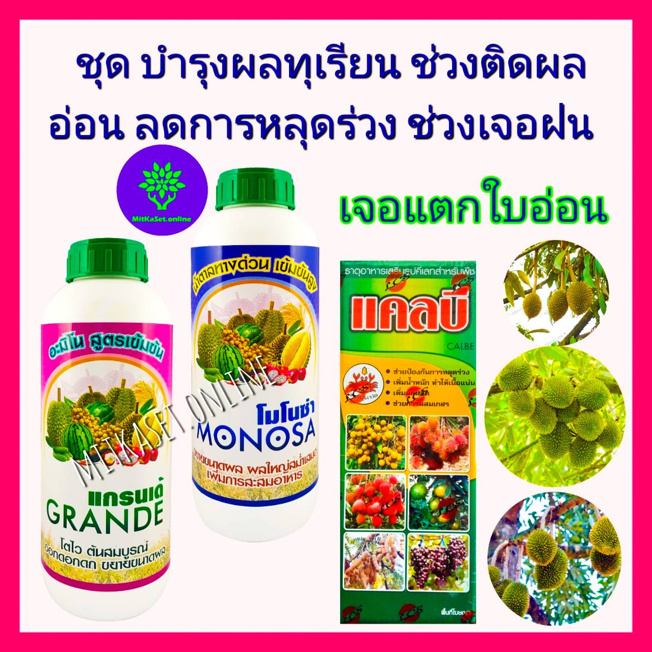 My Image 3