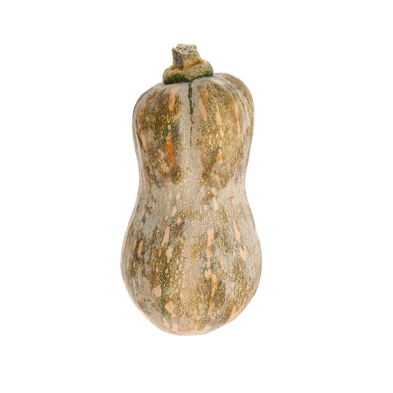 Bí Đỏ Hồ Lô 400-600G Kamereo