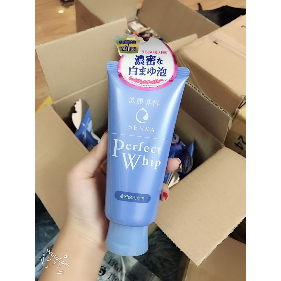 Sữa Rửa Mặt Senka Perfect Whip 100G & 120G