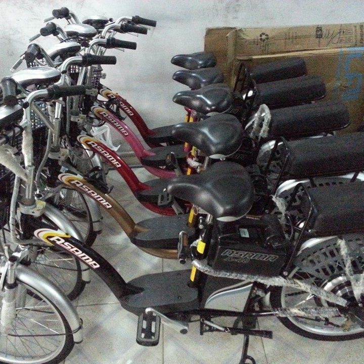 Tổng hợp giá xe đạp điện Asama đang bán chạy hiện nay  TP Hồ Chí Minh   Quận 2  Xe đạp điện  VnExpress Rao Vặt