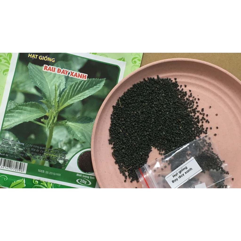 Hạt giống rau đay trắng 10gr