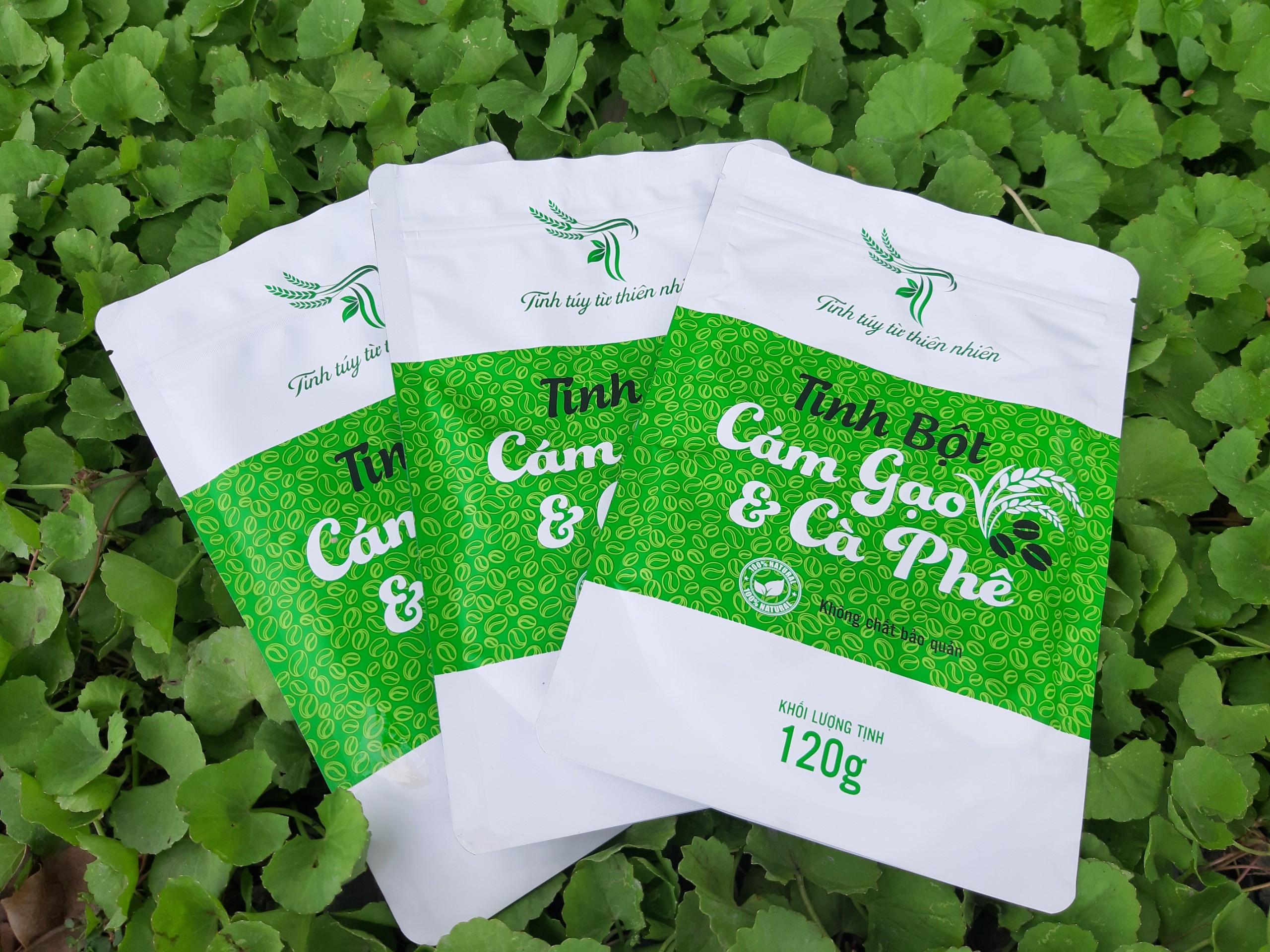 Tinh bột cám gạo cà phê  120g ( tẩy tế bào chết , giảm mụn lưng,viêm nang lông)