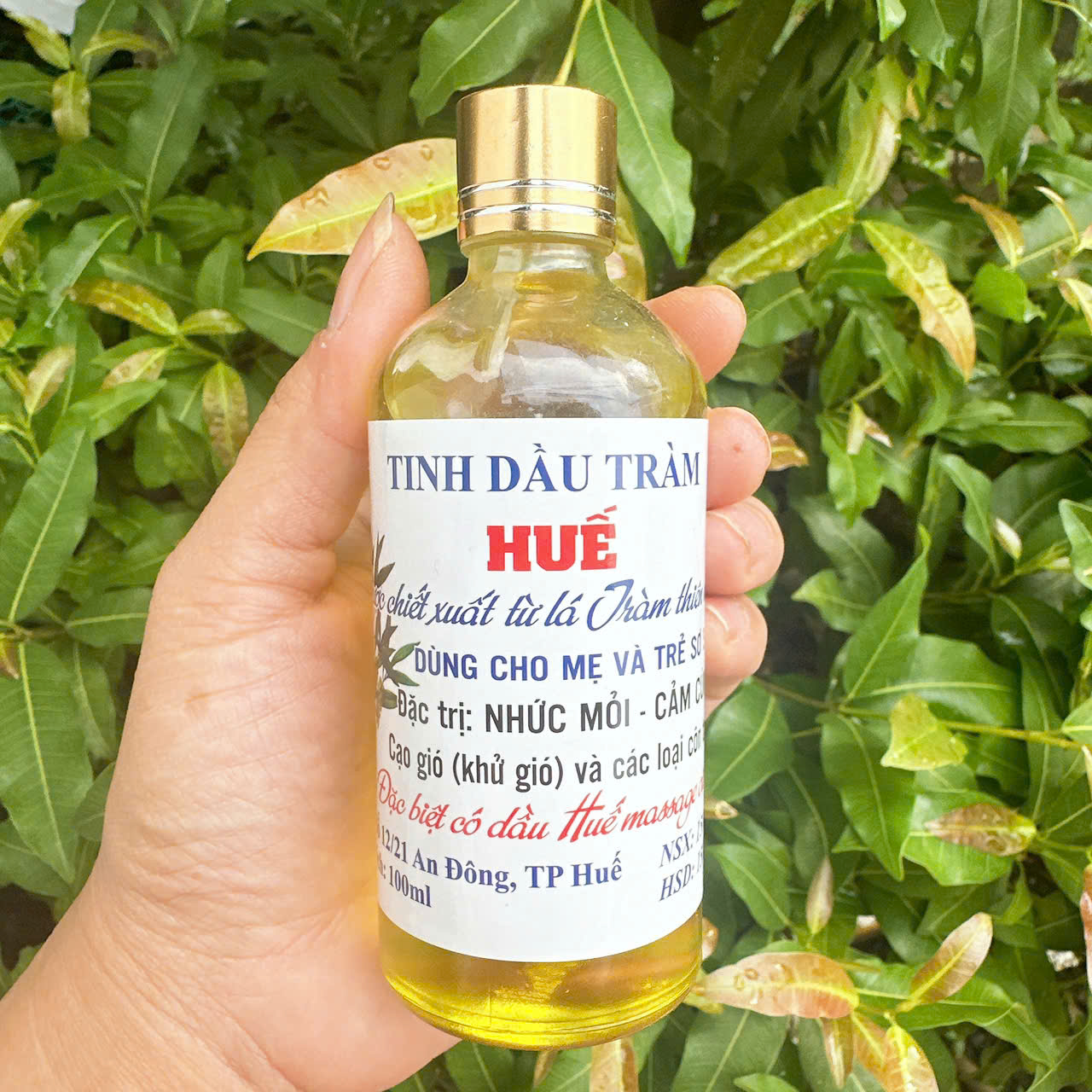 Combo 2 Chai Dầu tràm Huế chai 100ml