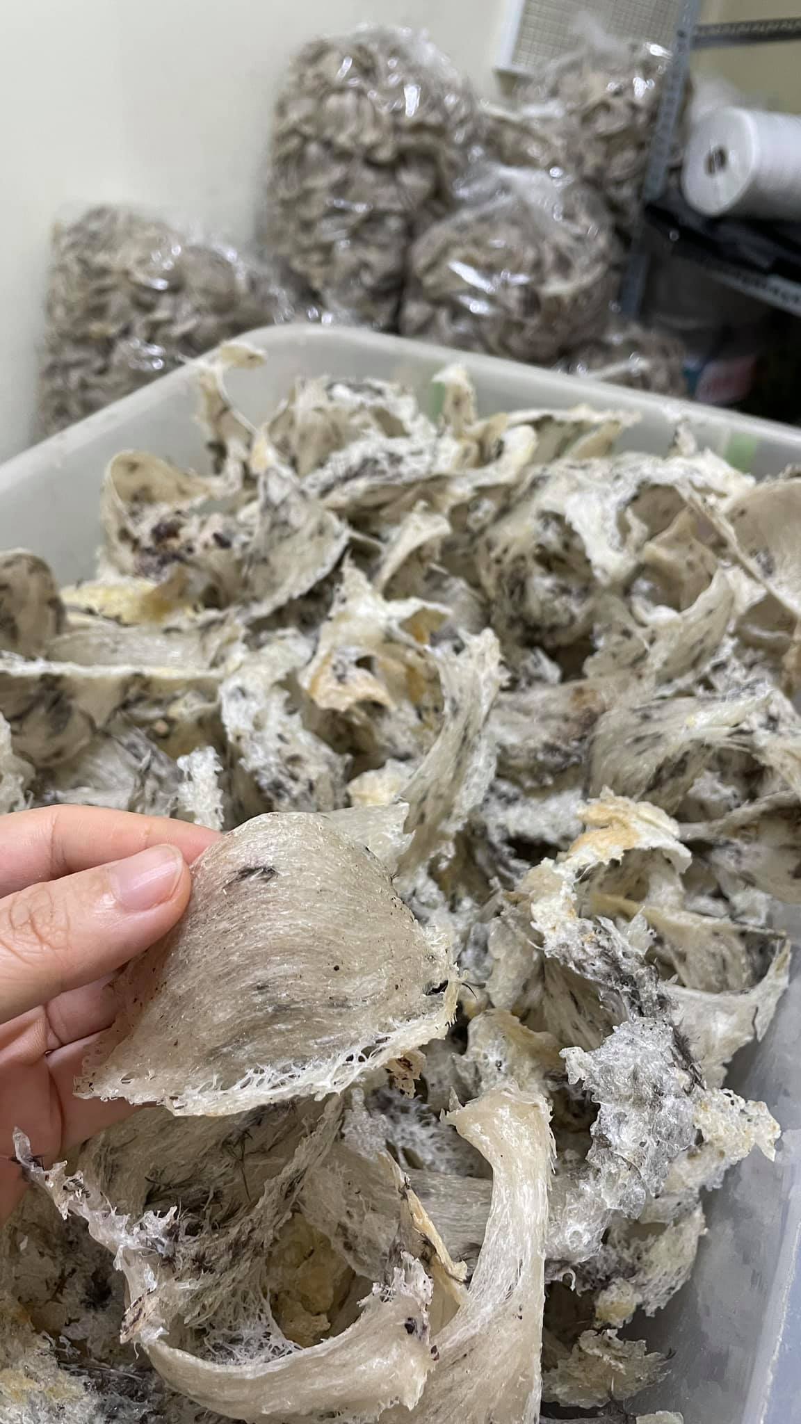 Yến thô tự nhiên 100gram cao cấp