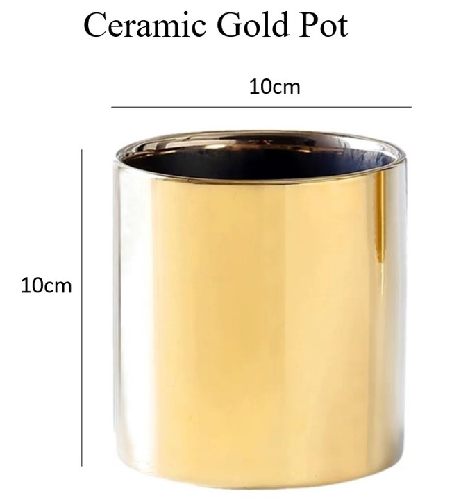 [SG SELLER] Ceramic Plant Pot Small Large Flower Pot Nordic Style