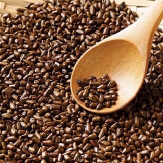 hạt muồng ( thảo quyết minh ) 500g