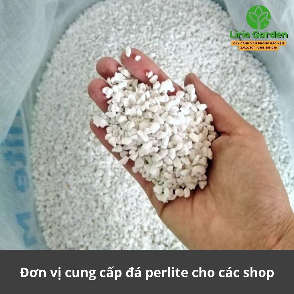 500g đá perlite , đá trân châu trồng cây
