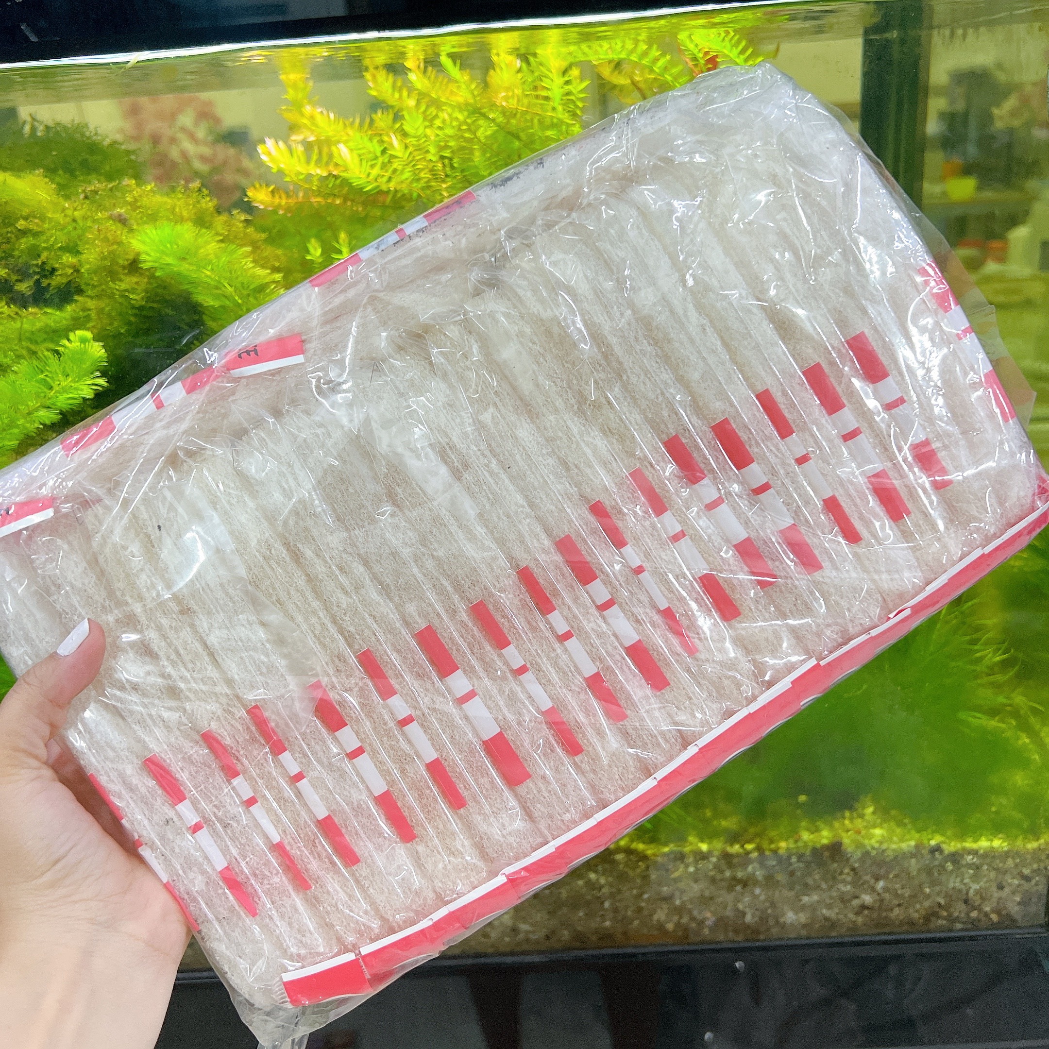 Miếng Rửa Chén Nhật Japan Best Choice siêu sạch