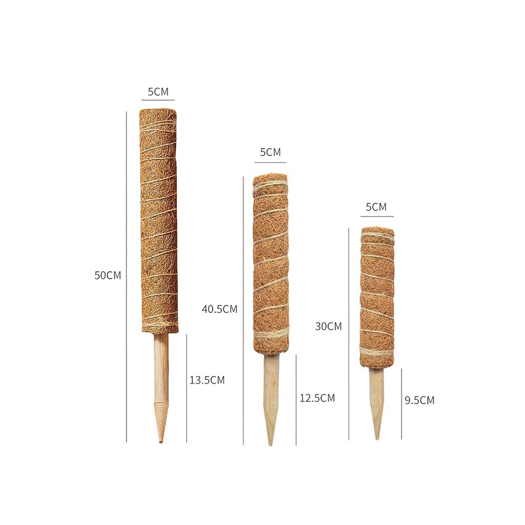 Trụ cột xơ dừa cho cây leo bám cột 30/40/50cm