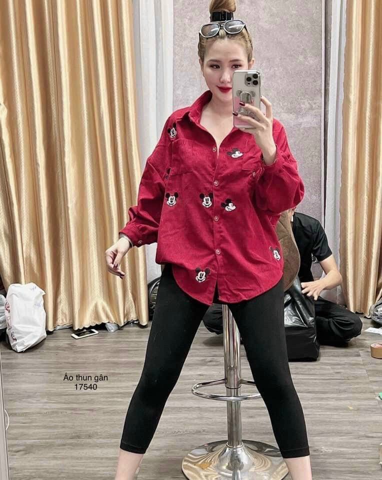 Sét bộ áo sơ mi quần thun cao cấp
