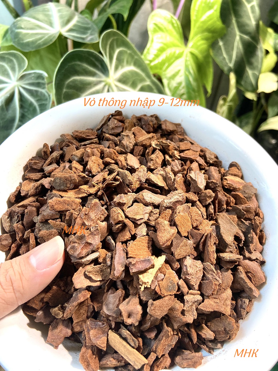 1kg vỏ thông nhập khẩu bồ đào nha !