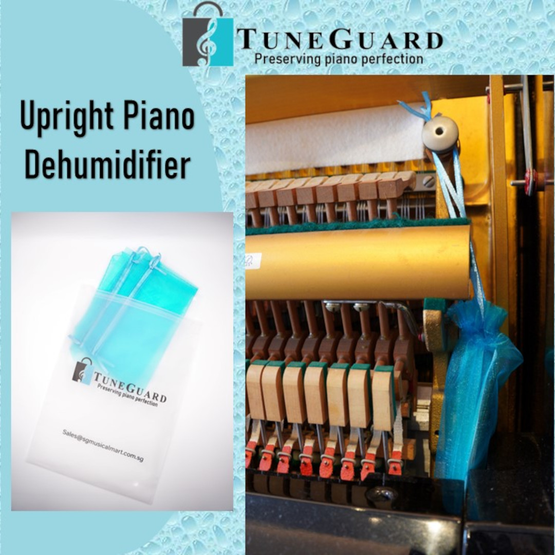 TuneGuard Dehumidifier pack for upright piano Lazada Singapore