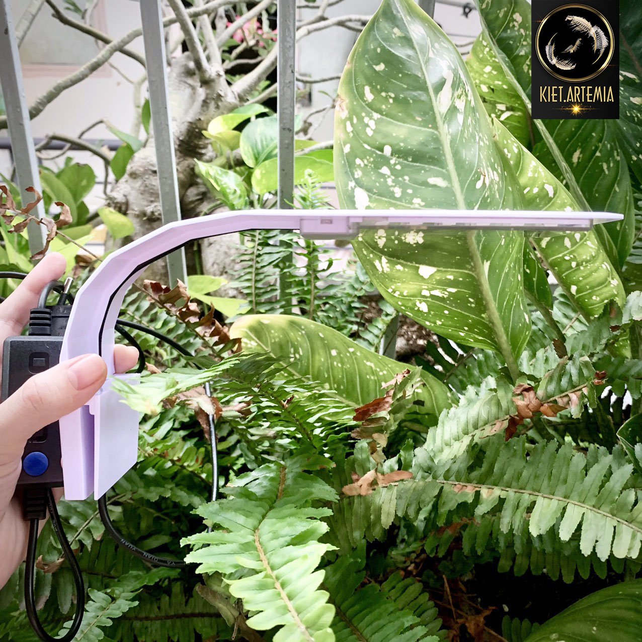 Đèn led kẹp hồ cá dùng cho hồ cá thủy sinh