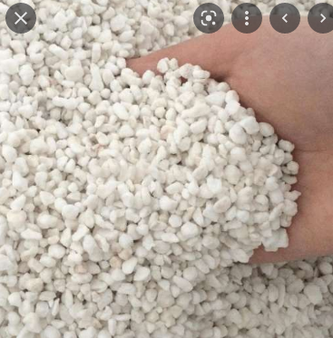 Đất ấp cho bò sát (đất đen - đất trắng) - Đất ấp thú cưng
