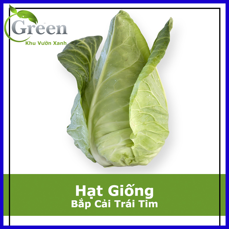Hạt giống bắp cải trái tim chịu nhiệt