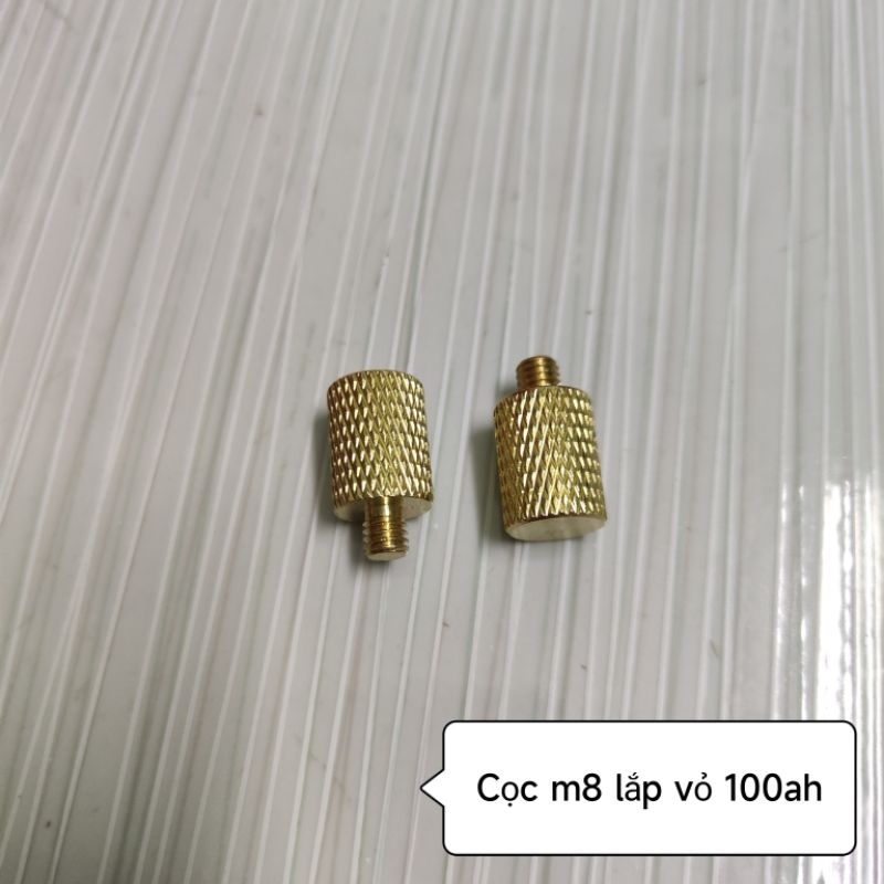 Bộ 2 cọc đồng M5, M6, M8 lắp vỏ acquy (dùng với kẹp cá sấu)