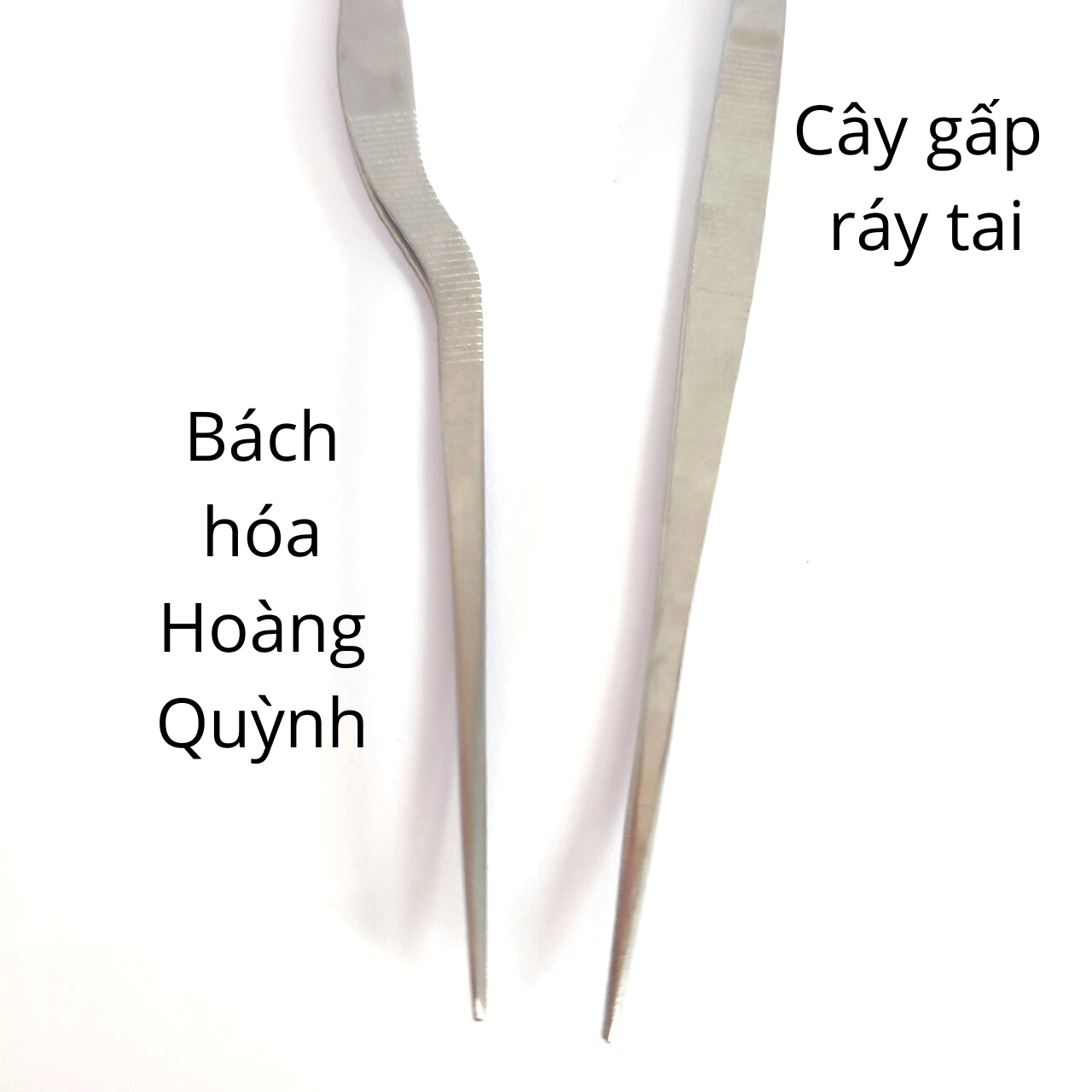 Cây nhíp gấp ráy tai Thanh Sơn.