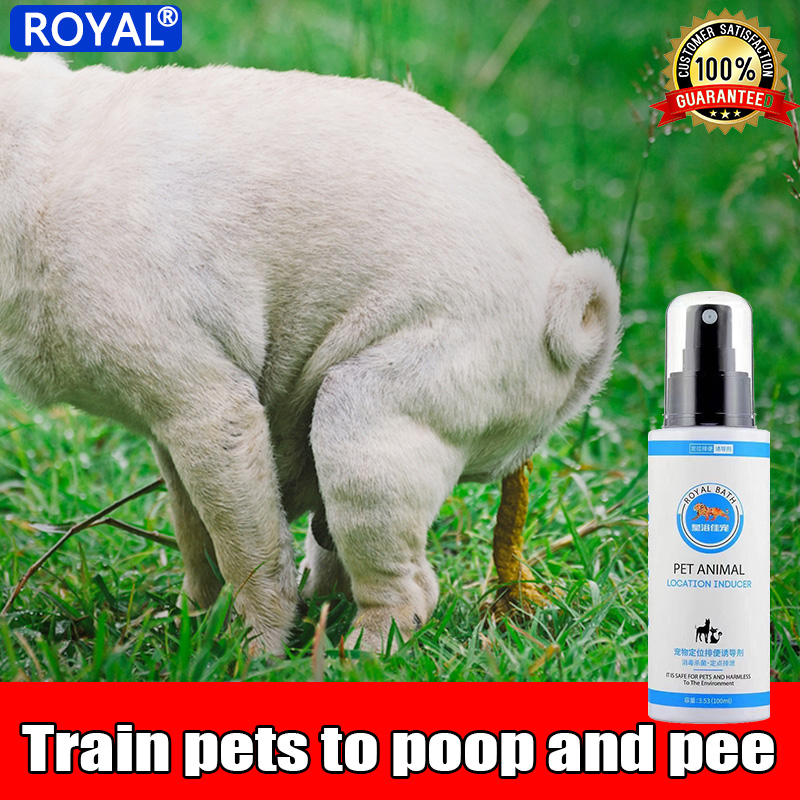 How Do You Train A Dog To Pee And Poop In The Toilet