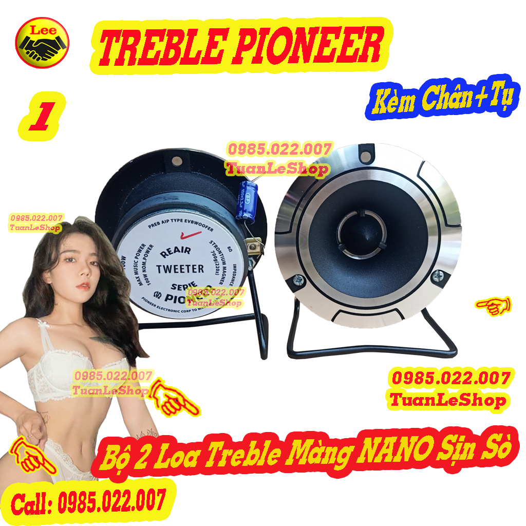 HAI CỦ LOA TREBLE PIO NEEER (14) MÀNG NANO KÈM TỤ 3.3MF TỐT - LOẠI 3 LỖ VÍT