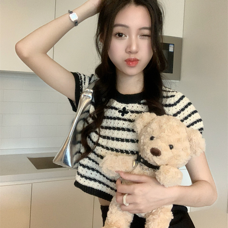 Aki20 Summer Fragrant Stripe Slim Fit Unique Hollow Out Knitted Short Sleeve T-shirt Short Top Small Women's Small Shirt