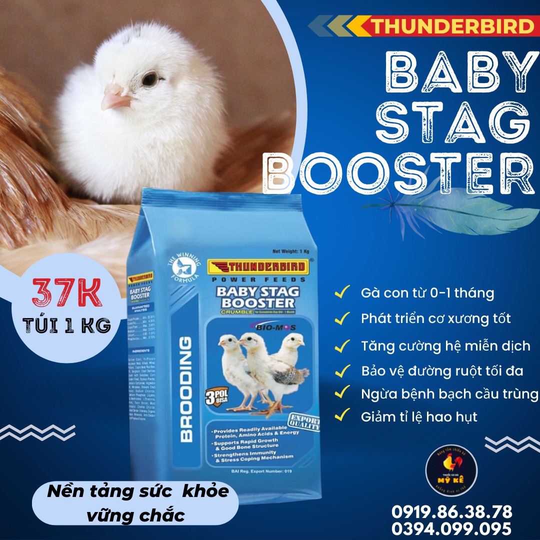Thức ăn cho gà con Thunderbird Baby - túi 1kg