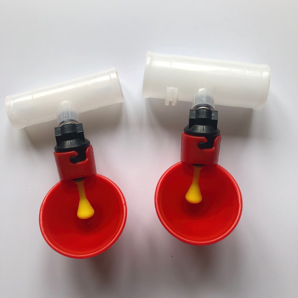 [HCM] máng uống tự động cho gà vịt - loại dạnh cốc hàng sịn - Randy888