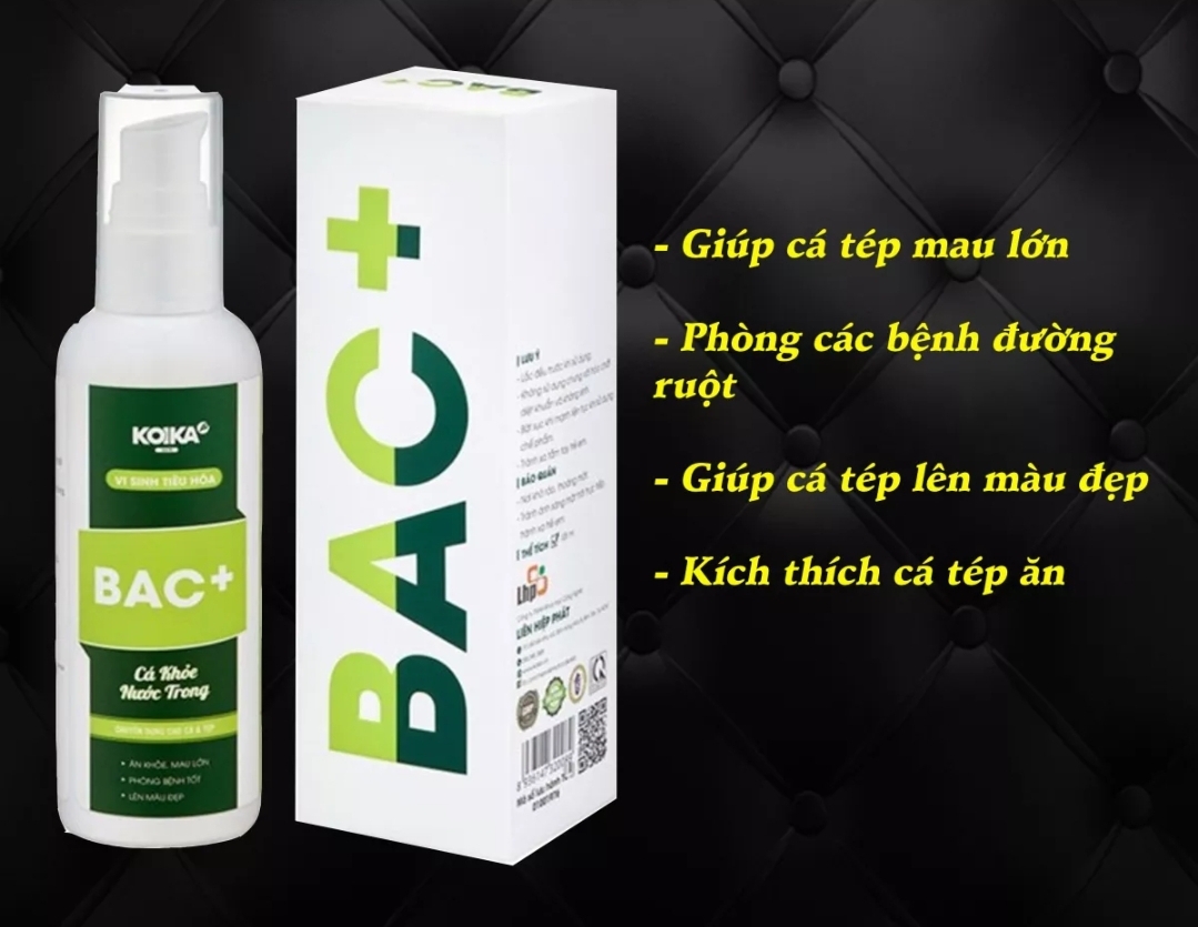 KOIKA BAC+ .Men Vi Sinh Tiêu Hóa Cho Cá Cảnh Thủy Sinh
