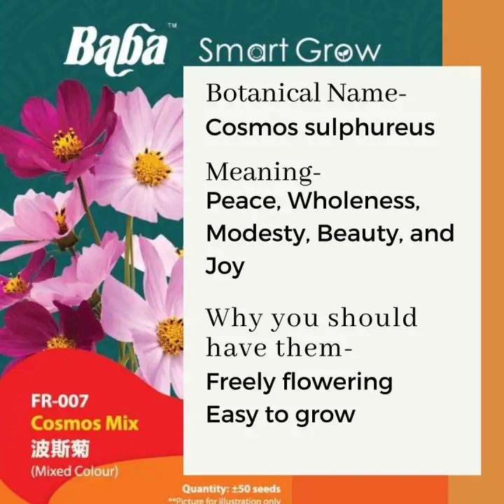 Baba Fr 007 Cosmos Mix Flower Seeds Lazada Singapore