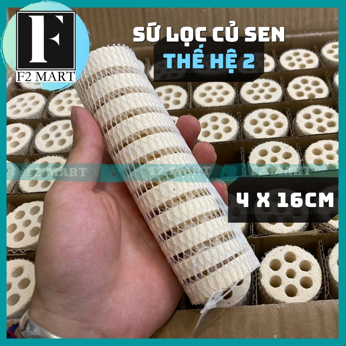 Sứ lọc củ sen Mountain Tree Lotus Root Bacteria House