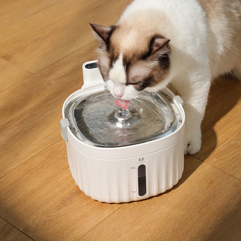 moving water bowl