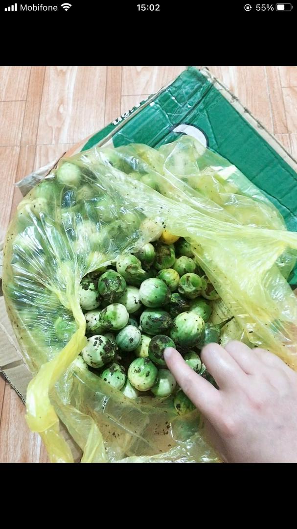 cà đắng tây nguyên 1kg