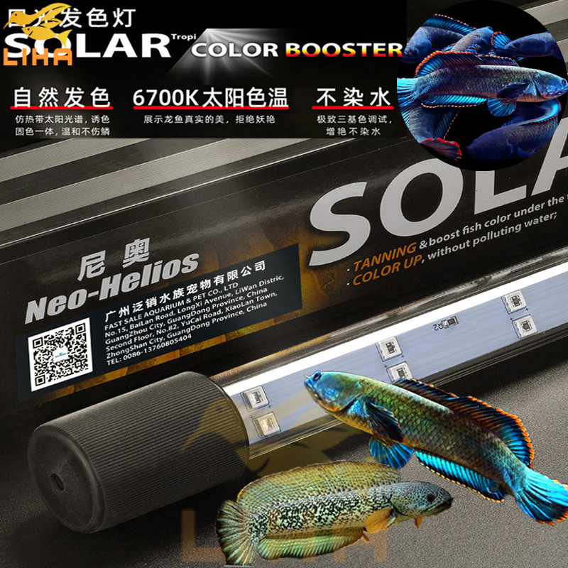 Đèn led neo-helios solar 6700k rgb cho cá rồng cá lóc - led tanning cá rồng
