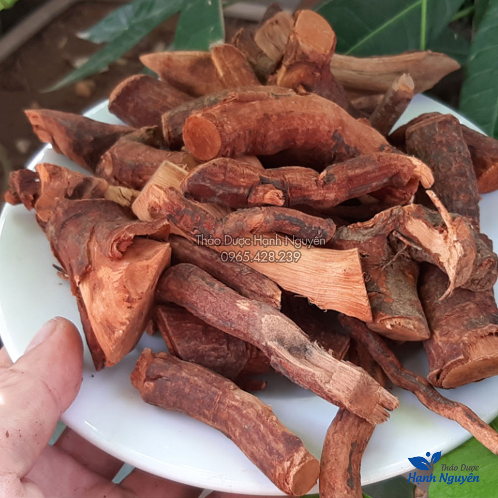 Mú từn 500g (Hàng loại 1, khô, sạch)  - Thảo Dược Hạnh Nguyên