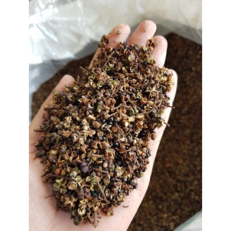 500 gram Hạt mắc khén rừng - hạt mắc khén Tây Bắc ướp thức ăn ,làm nước chấm