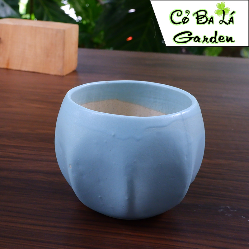 chậu sứ bát tràng-hình bóng lõm