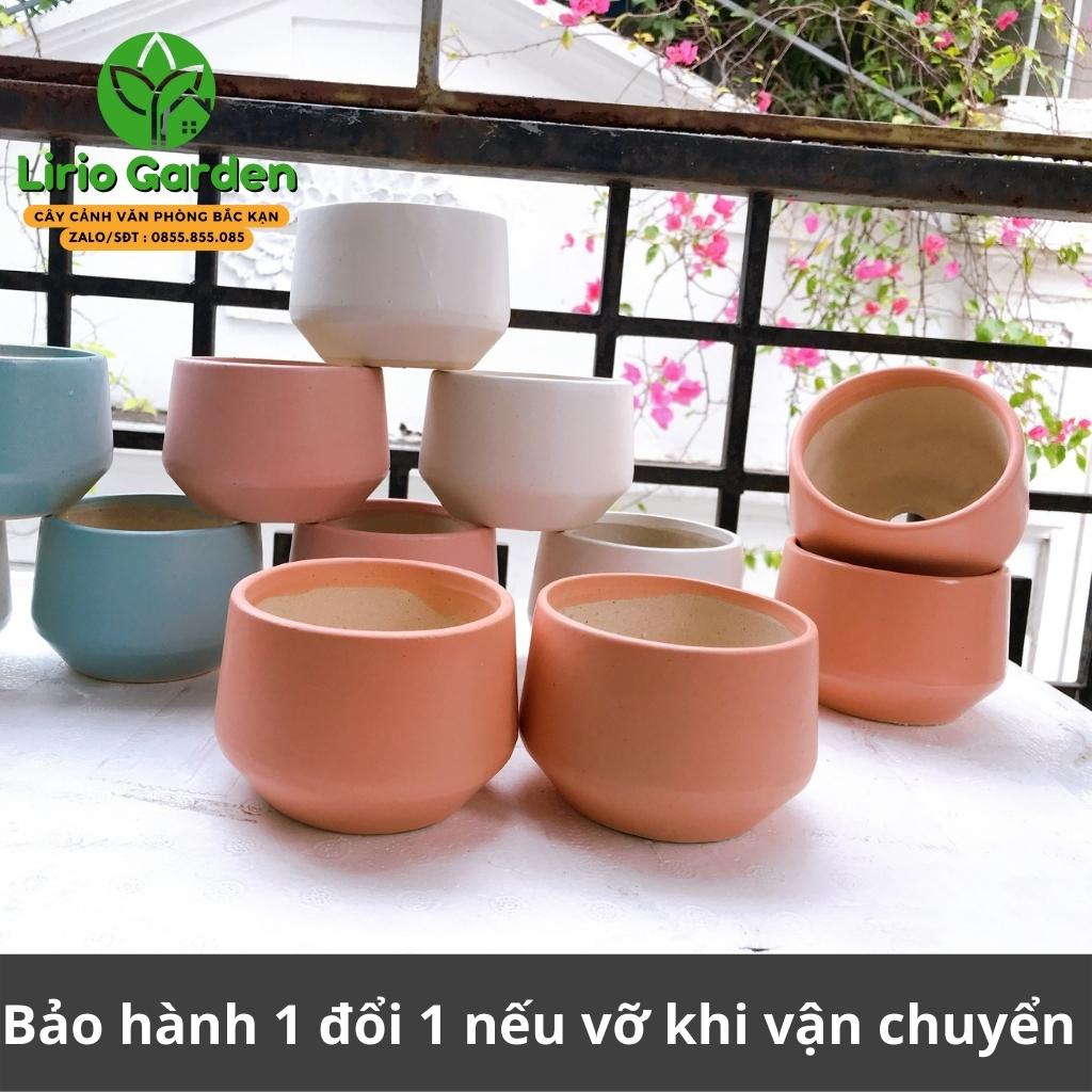 Chậu cây hình hạt dẻ nhỏ