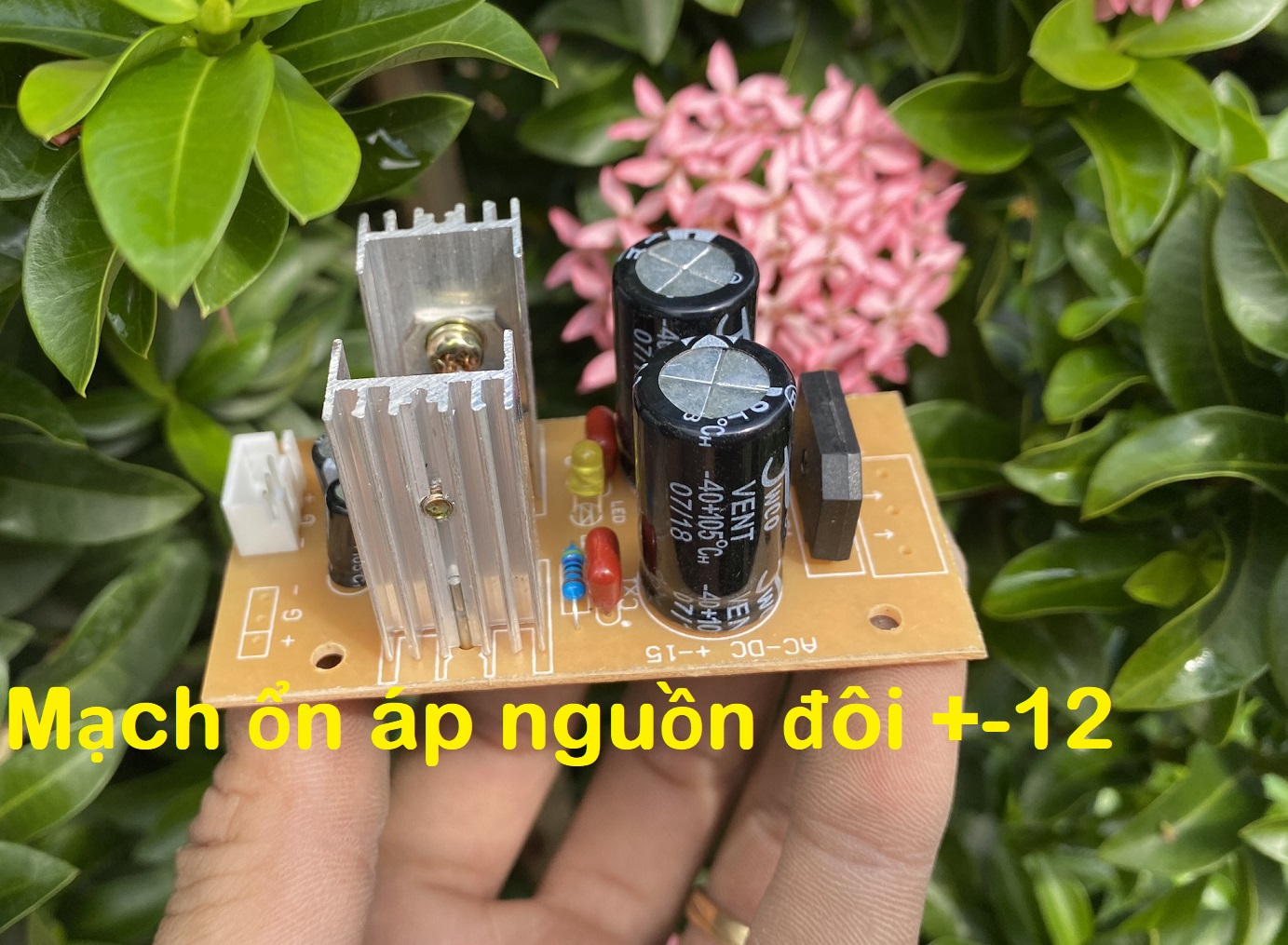 Mạch lọc nguồn đôi +-12