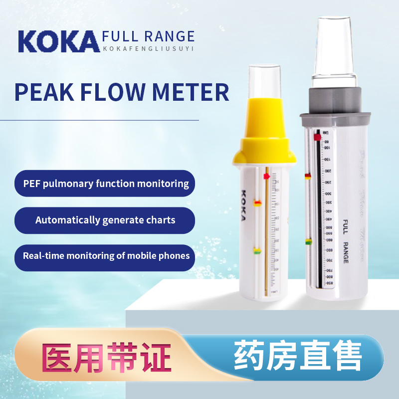 Adult Children Peak velocity Pulmonary function tester Lung activity