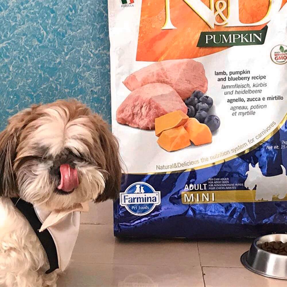 Thức ăn chó N&D [BAO NGUYÊN SEAL 2kg và 2.5kg] [Grain free] nhập khẩu chính hãng