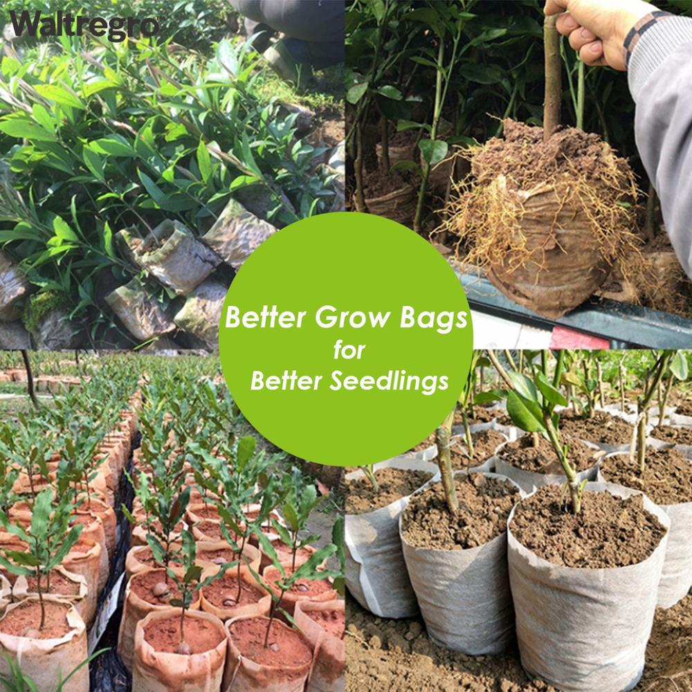 50-100pcs%20Plants%20Seedling%20Grow%20Bags%20Mushroom%20Flower%20Biodegradable%20Non-Woven%20Nursery%20Fabric%20Pots%20Eco-Friendly%20Aeration%20Greenhouse%20-%20Image%205