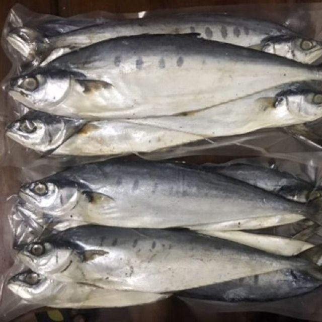 1KG CÁ BÈ BÈ (HỌ CÁ THU) THỊT THƠM CHẮC