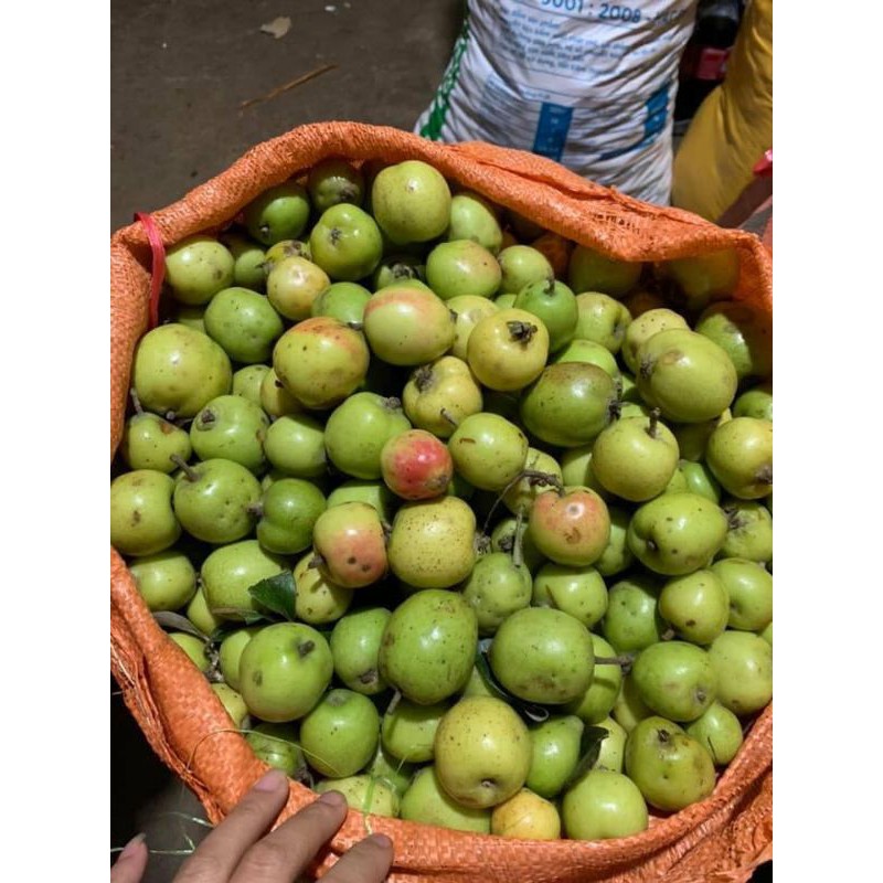 táo mèo khô 1kg