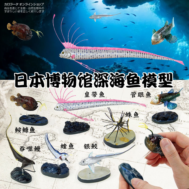 🦍 Sile Toy Store~ Japanese Colorata Authentic Deep Sea Fish Museum Royal  Hairtail Terrible Undersea Creatures Collection Model