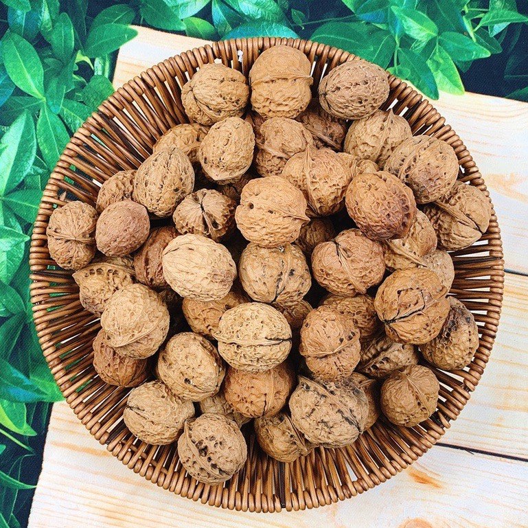 1KG ÓC CHÓ NẾP ĐẶC SẢN TÂY BẮC VỎ MỎNG NHÂN MẨY