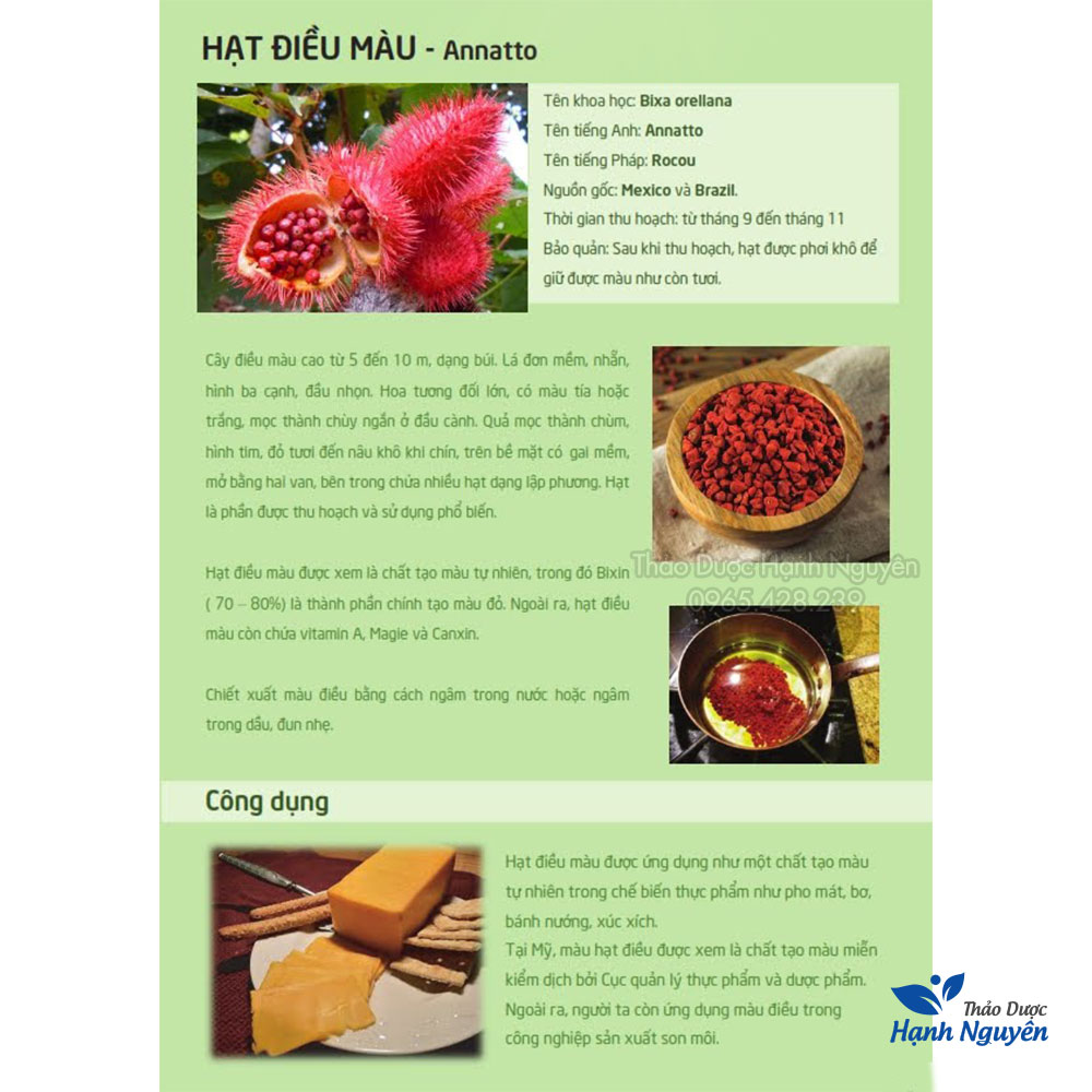 Hạt diều đỏ 500g (Hạt cari, điều màu, tạo màu tự nhiên cho món ăn) - Thảo Dược Hạnh Nguyên